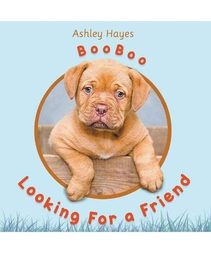 Booboo looking for friend - booboo,